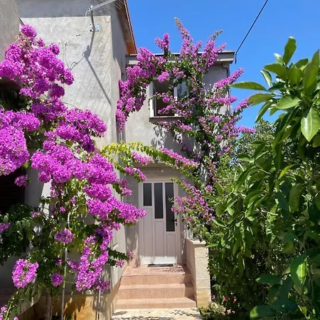Flowers - By Ta Leut Agency * Privlaka (Zadar)