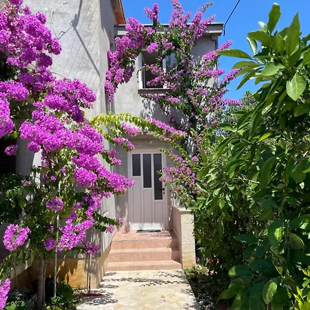 Flowers - By Ta Leut Agency * Privlaka (Zadar)