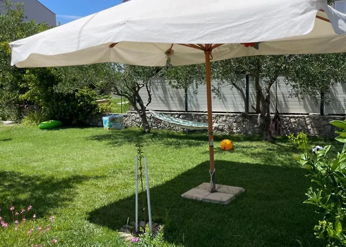 아파트 Flowers - By Ta Leut Agency